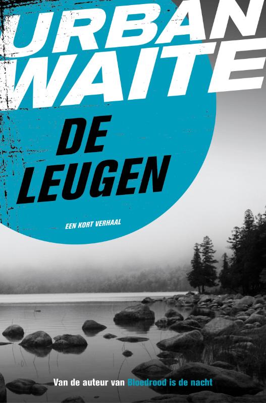 Omslag van De leugen