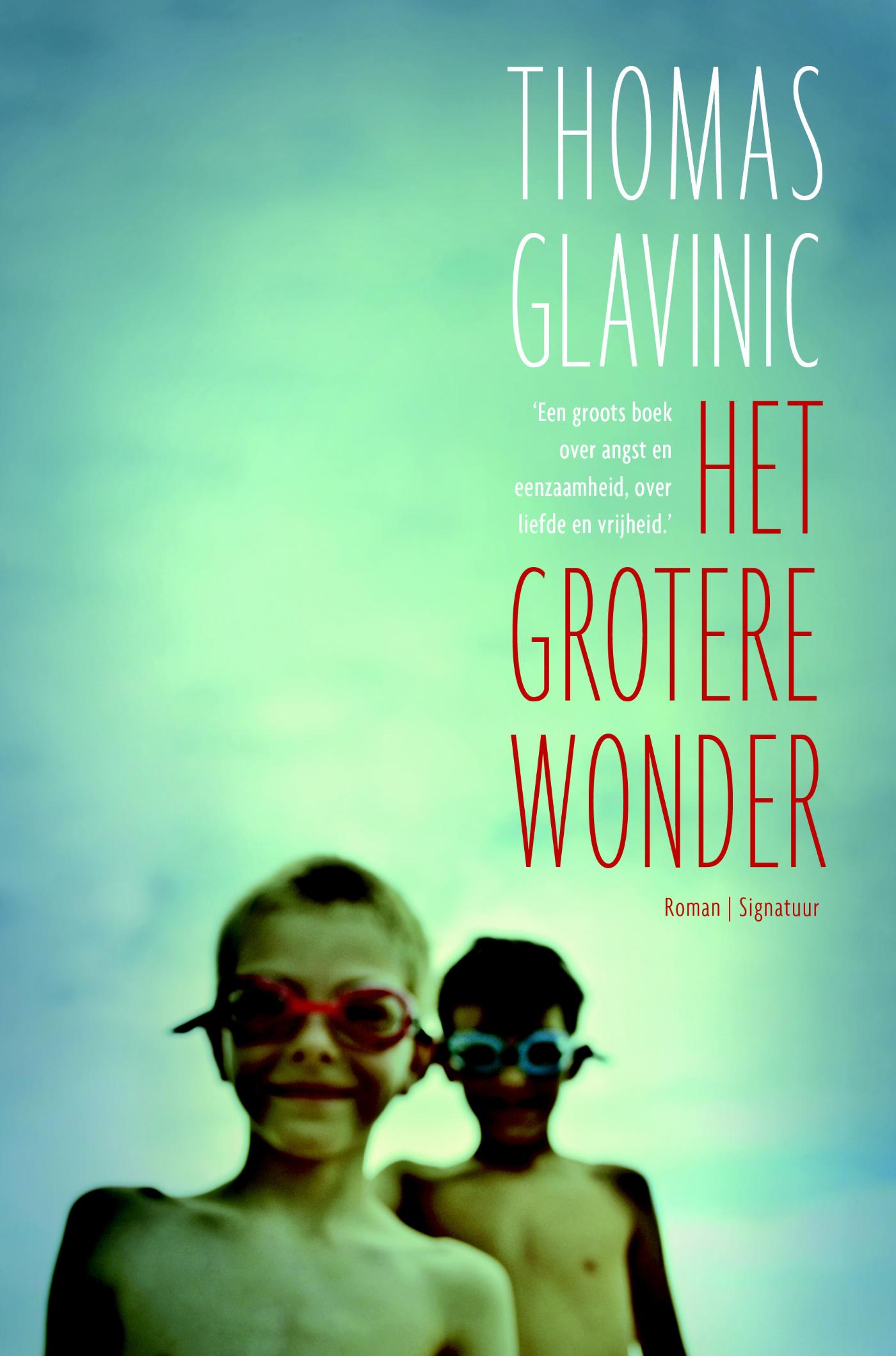 Omslag van Het grotere wonder