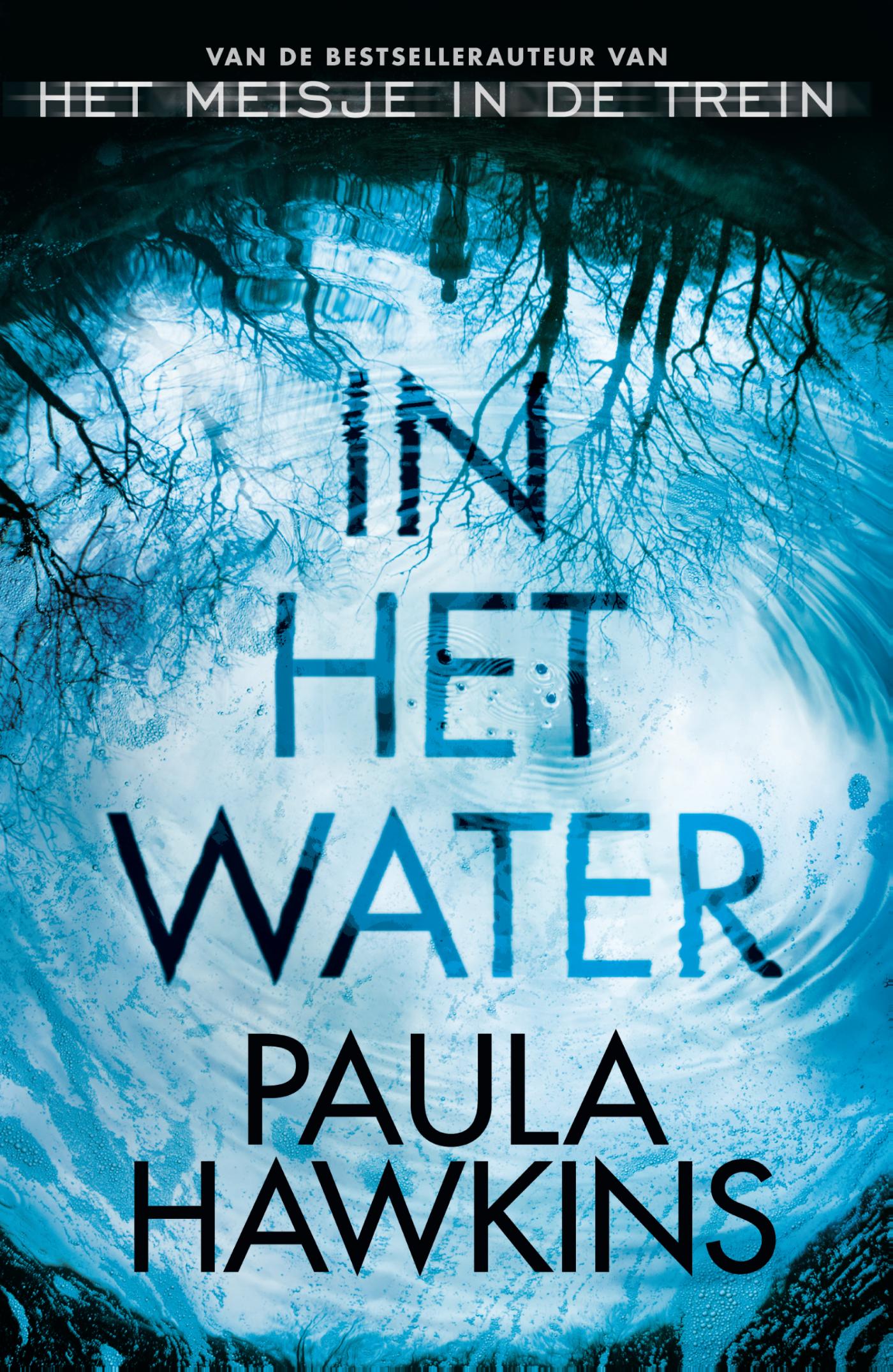 Omslag van In het water