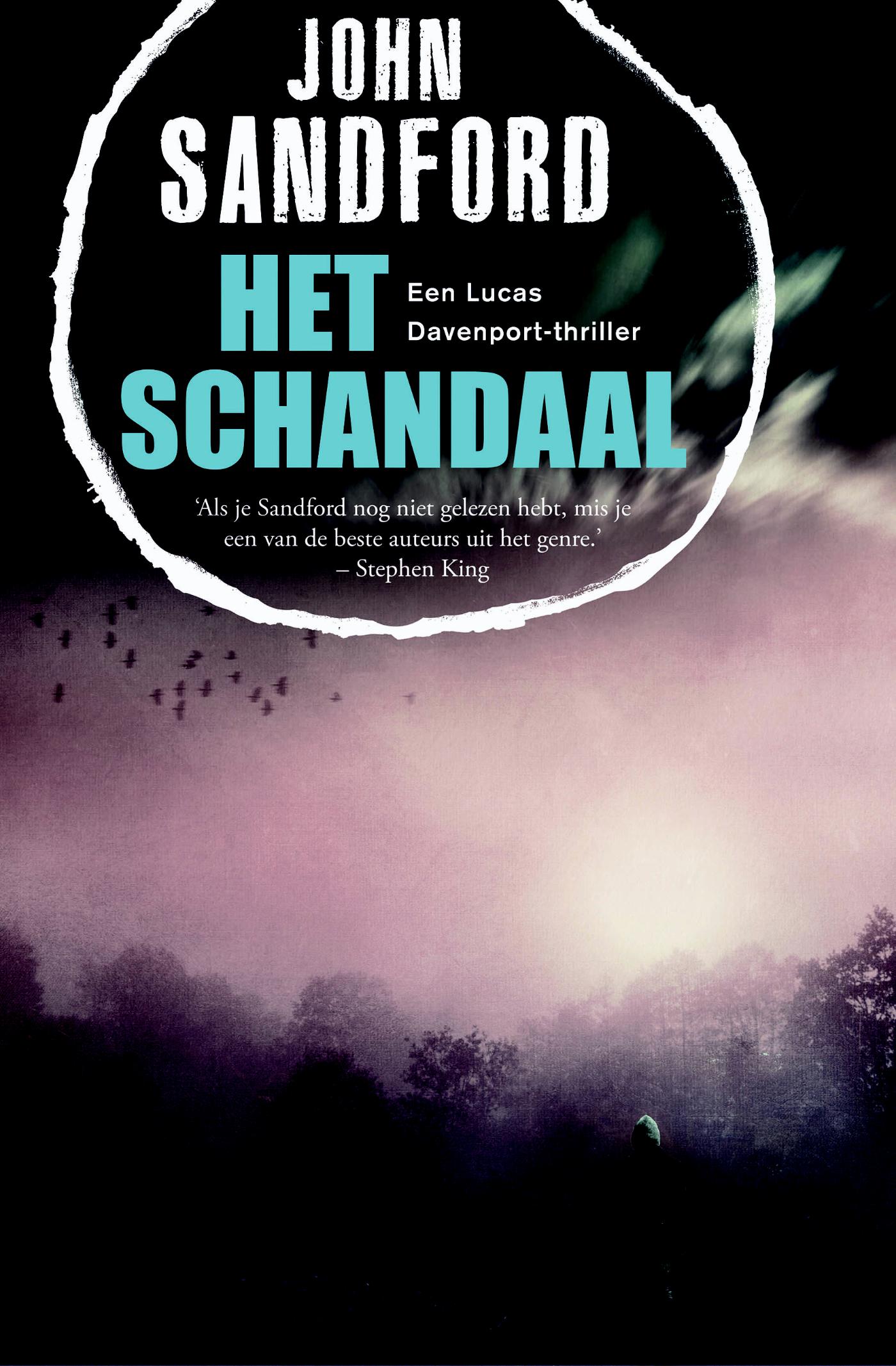 Omslag van Het schandaal