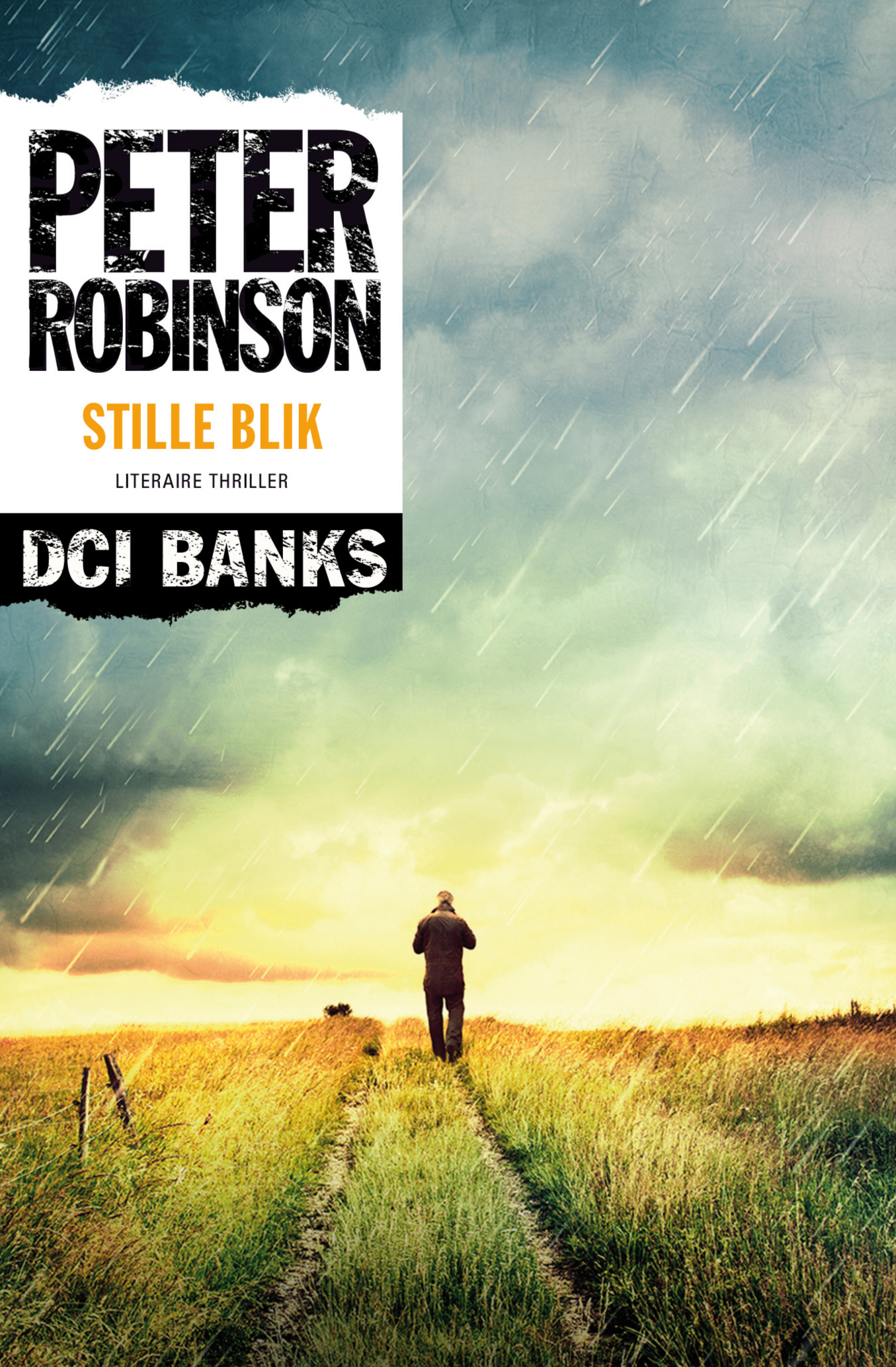 Omslag van Stille blik