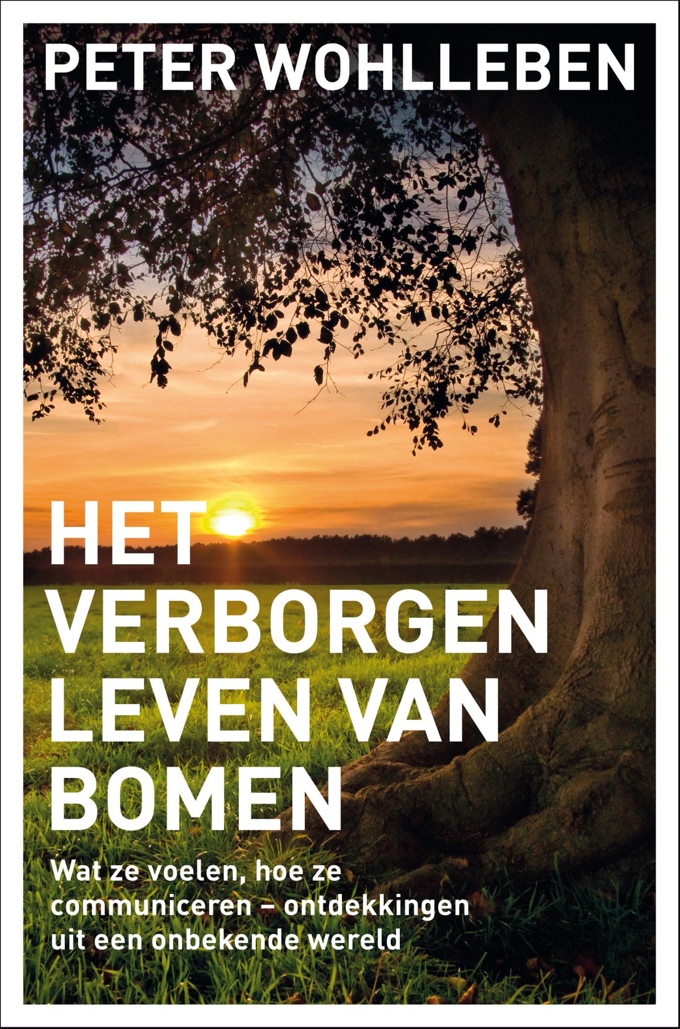 Omslag van Het verborgen leven van bomen