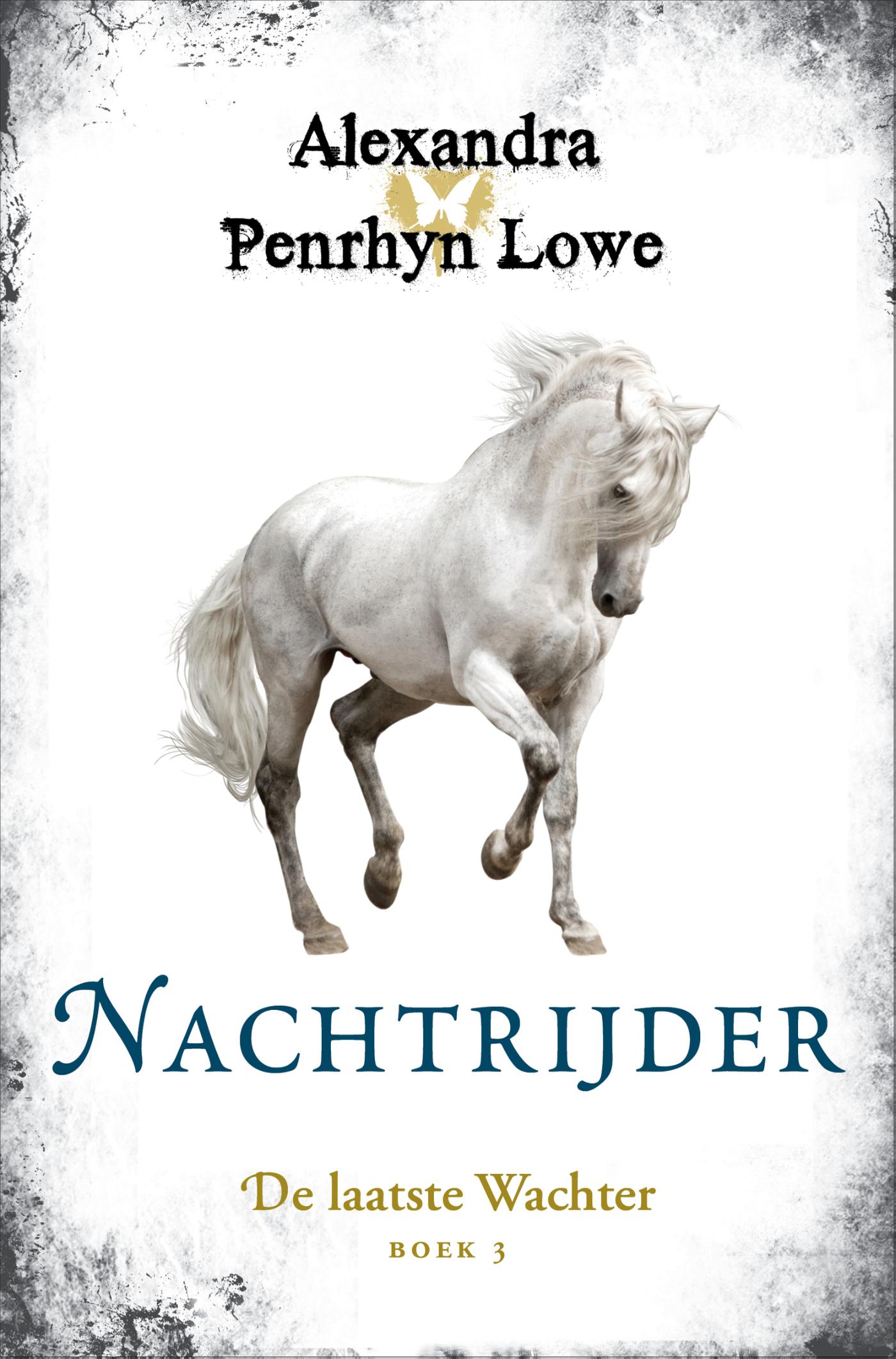 Omslag van Nachtrijder