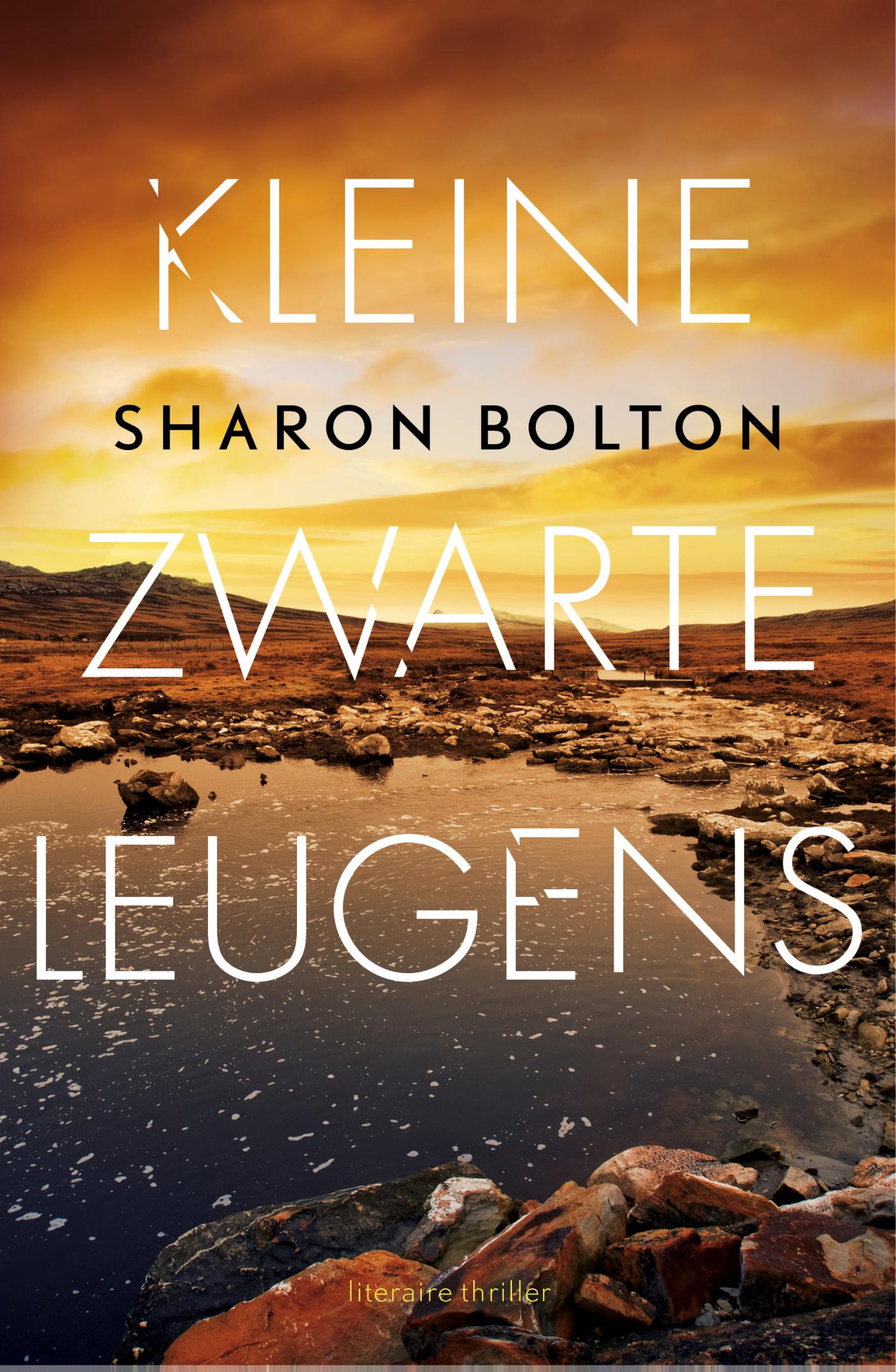 Omslag van Kleine zwarte leugens