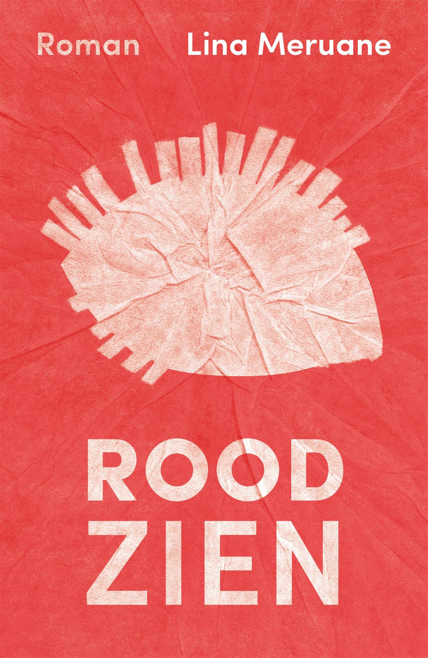 Omslag van Rood zien