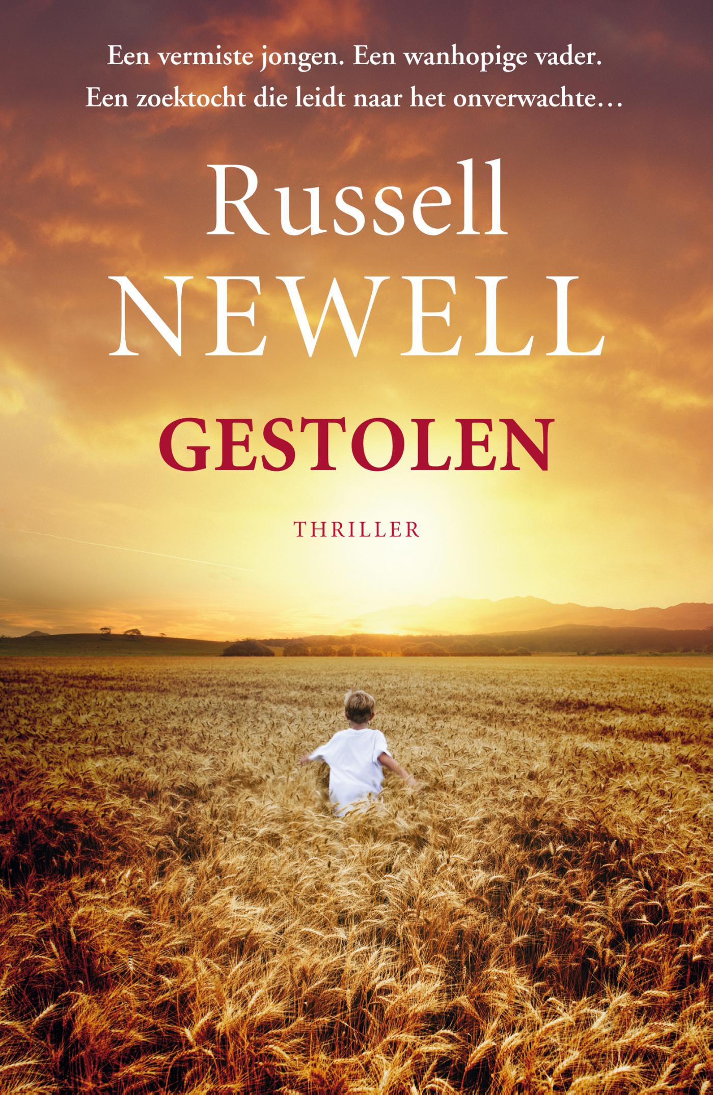 Omslag van Gestolen
