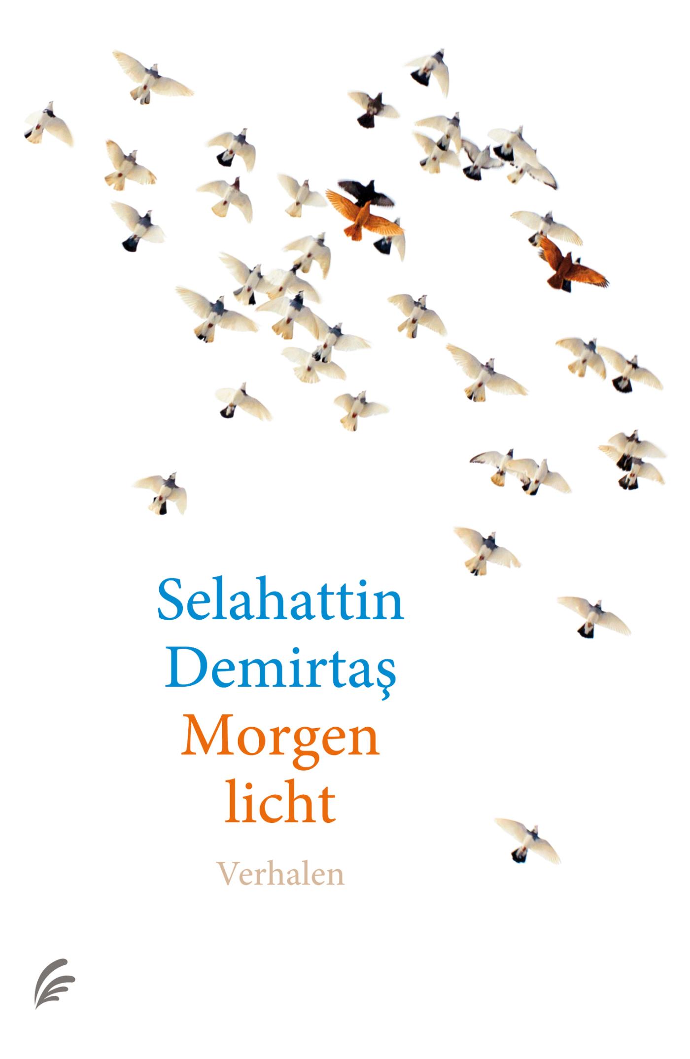Omslag van Morgenlicht