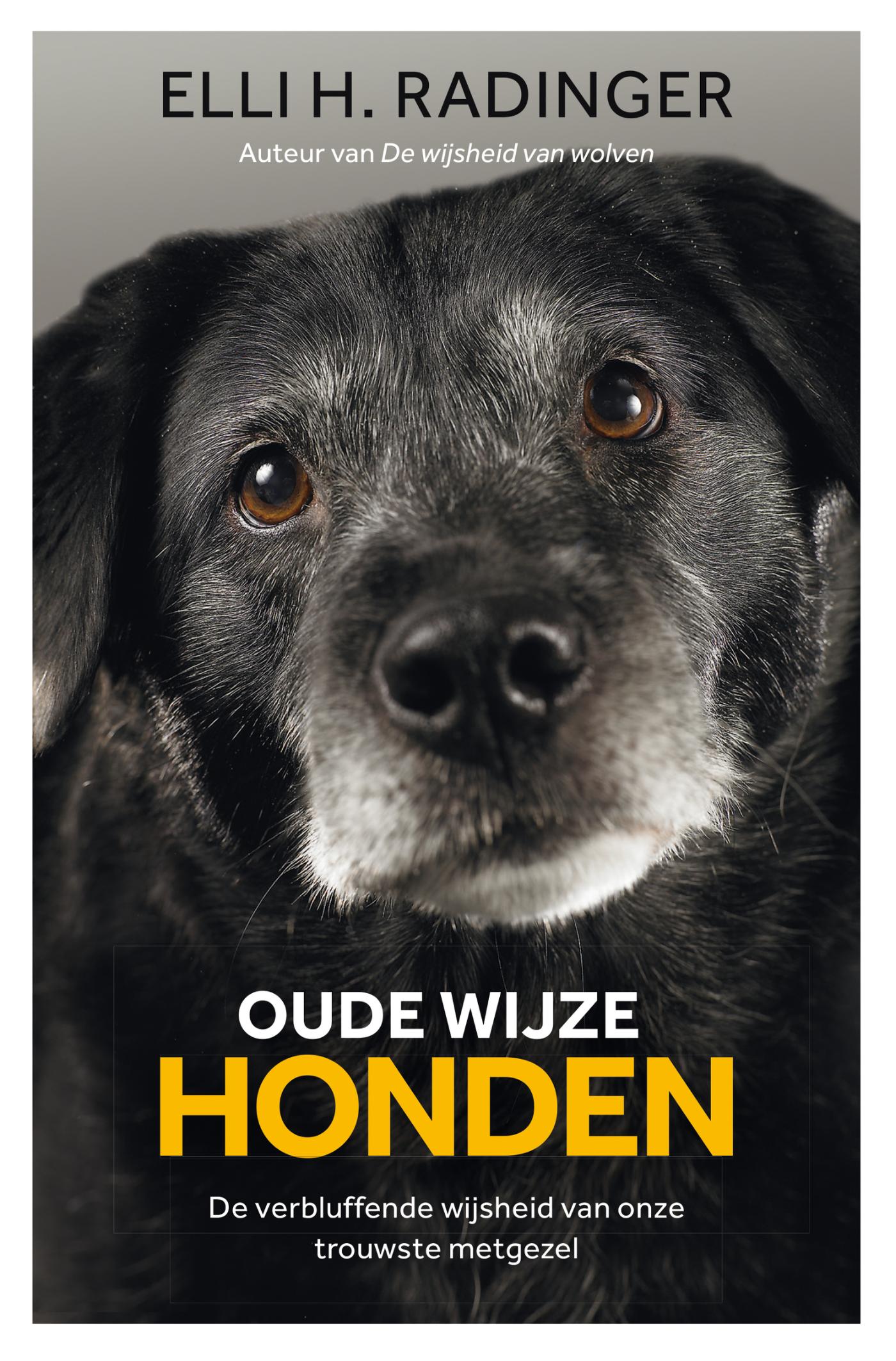 Omslag van Oude wijze honden