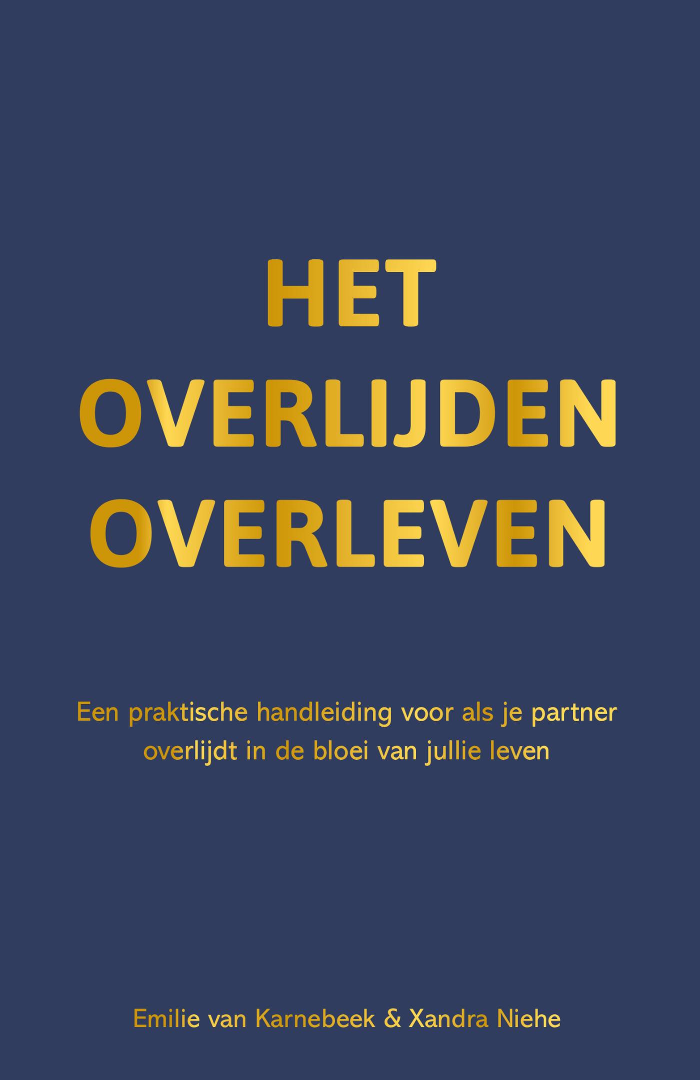 Omslag van Het overlijden overleven