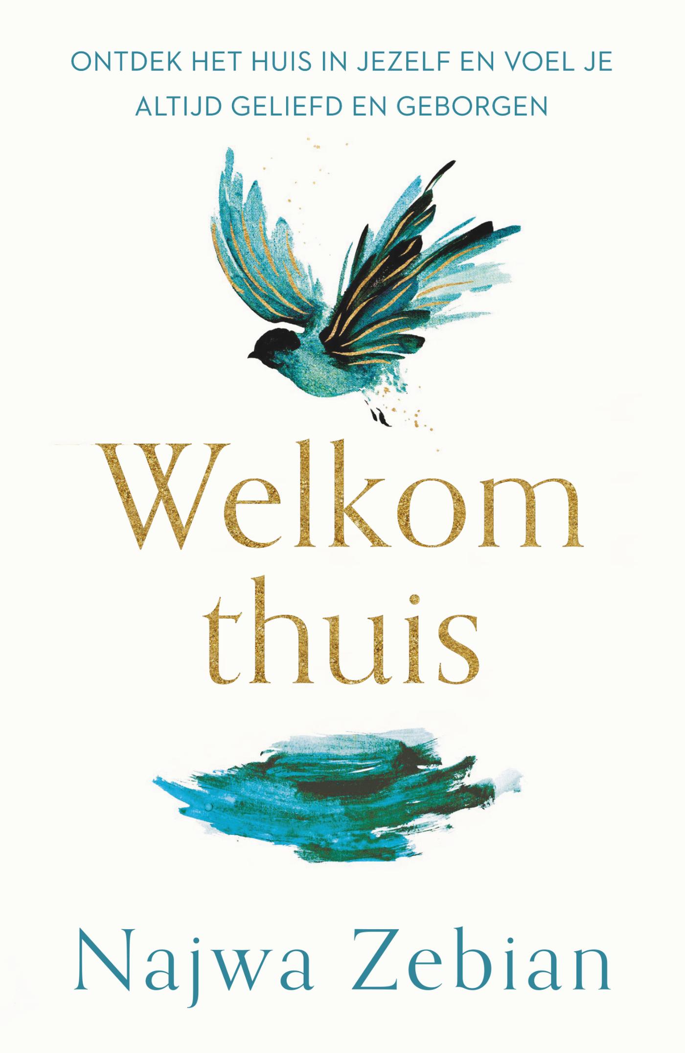 Omslag van Welkom thuis