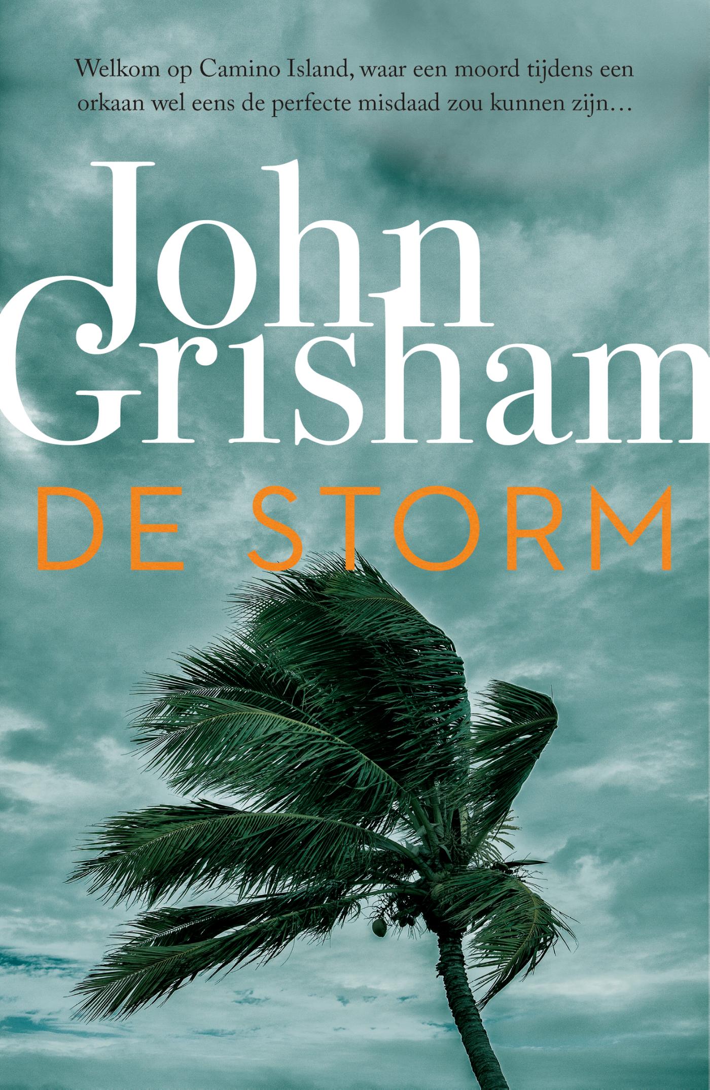 Omslag van De storm