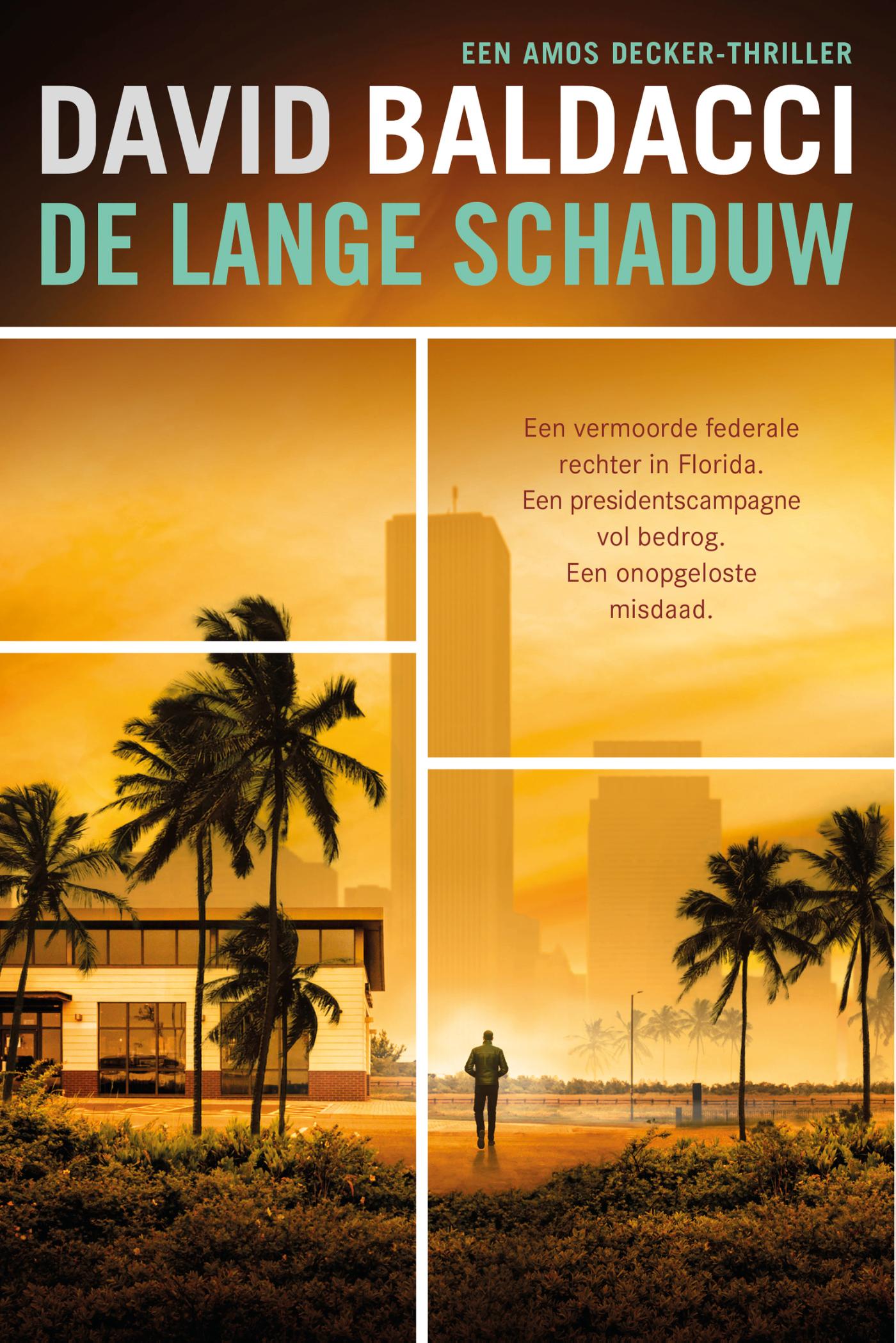 Omslag van De lange schaduw