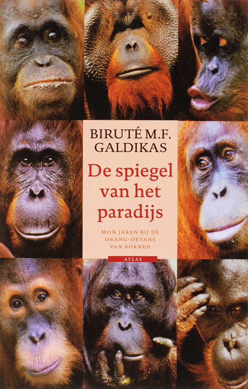 Omslag van De spiegel van het paradijs