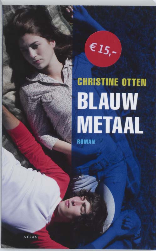 Omslag van Blauw metaal