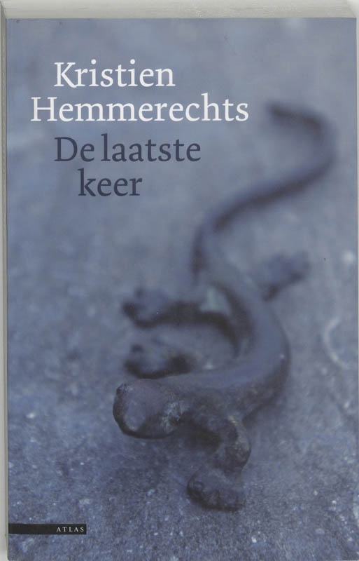 Omslag van De laatste keer