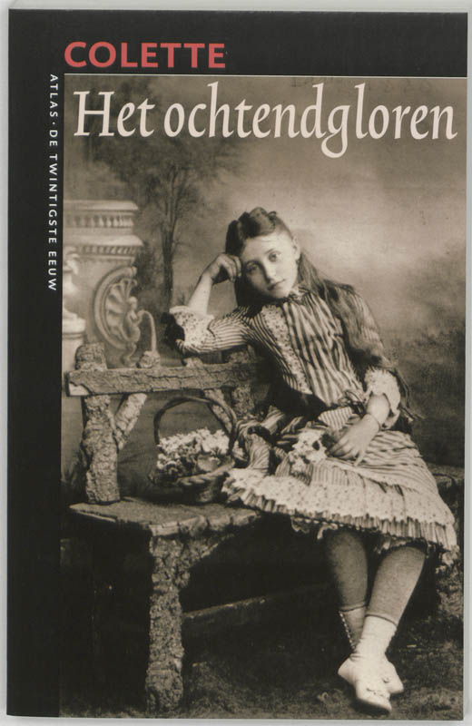 Omslag van Het ochtendgloren