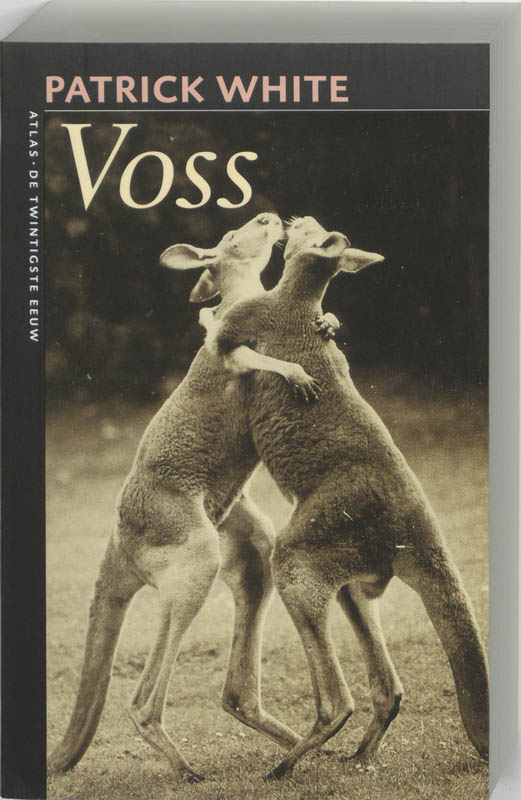 Omslag van Voss