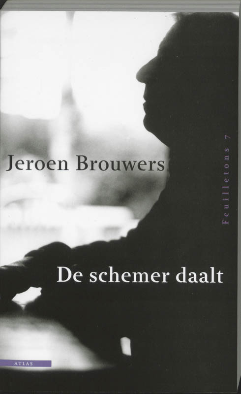 Omslag van De schemer daalt