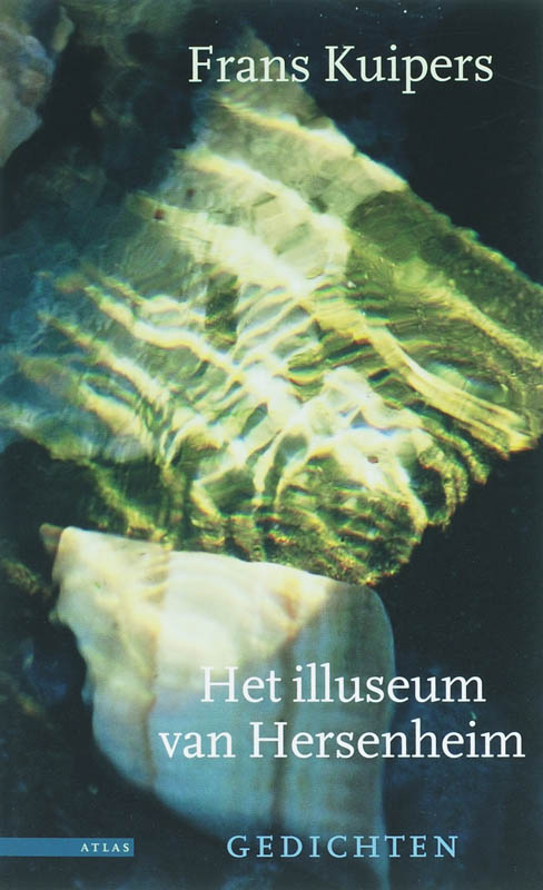 Omslag van Het illuseum van Hersenheim