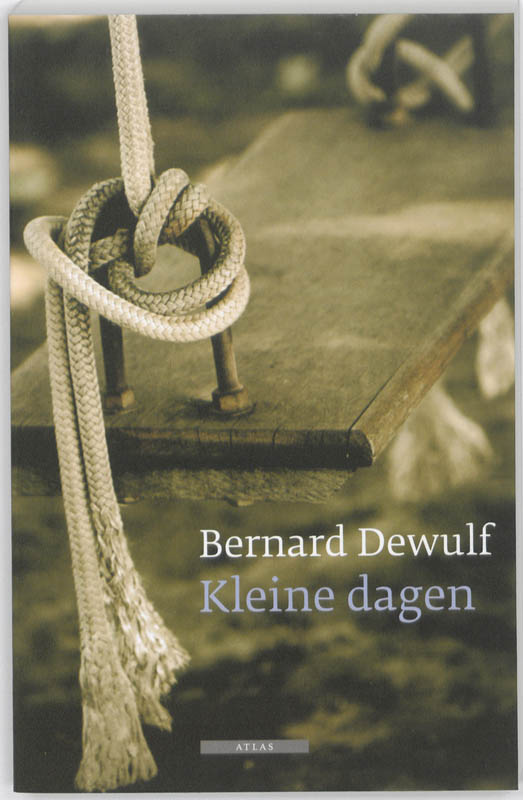 Omslag van Kleine dagen