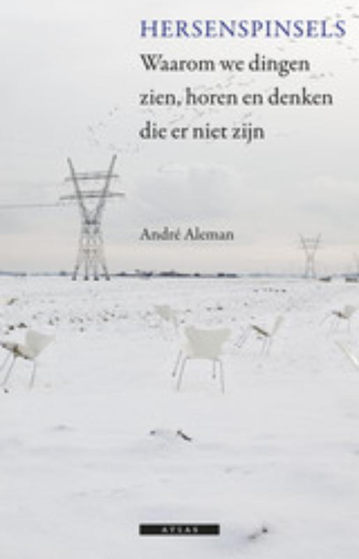 Omslag van Hersenspinsels