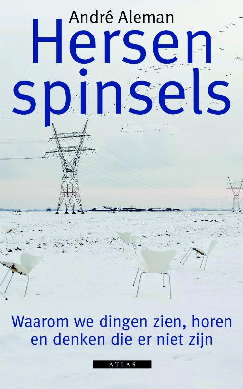 Omslag van Hersenspinsels