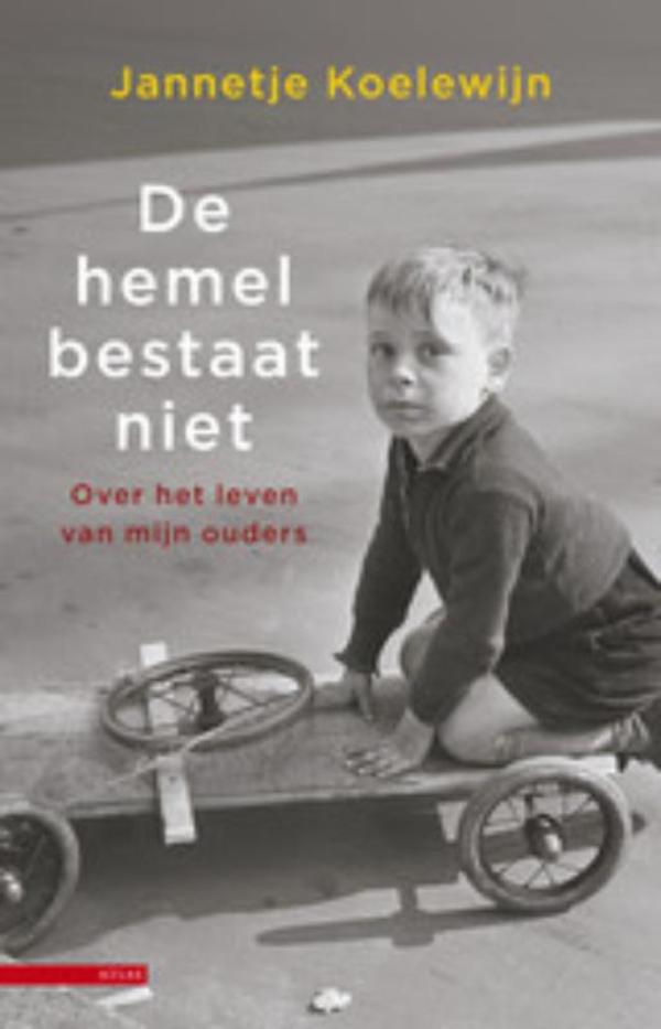 Omslag van De hemel bestaat niet