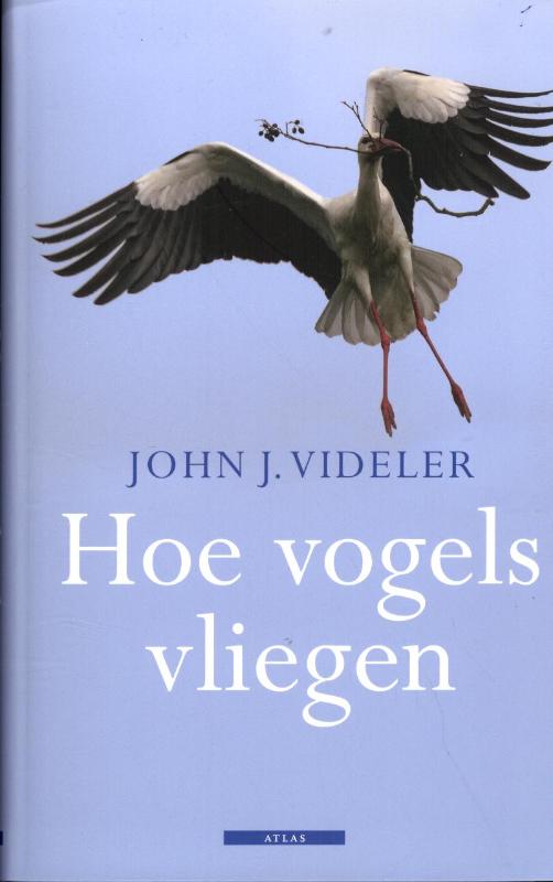 Omslag van Hoe vogels vliegen