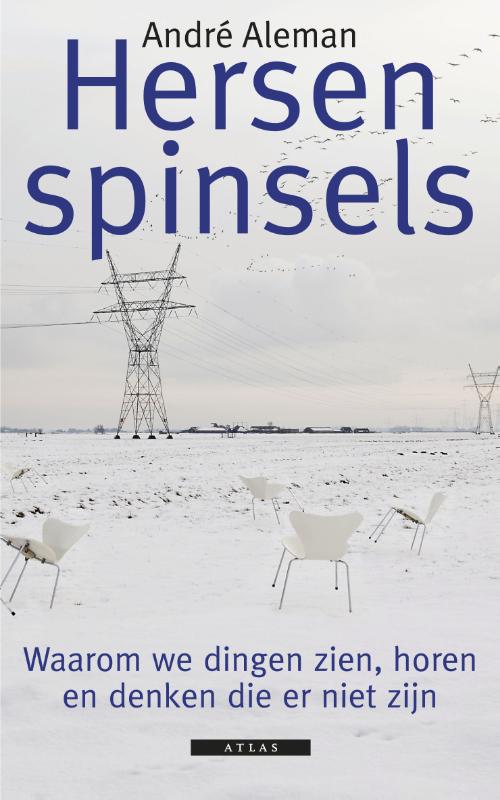 Omslag van Hersenspinsels