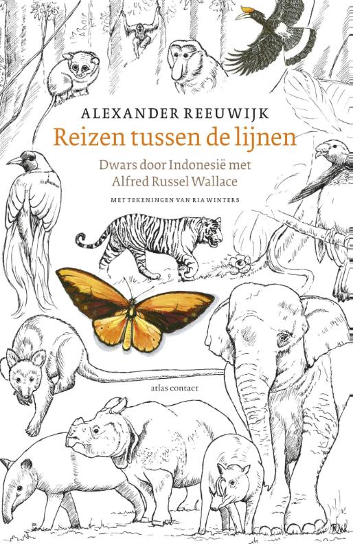 Omslag van Reizen tussen de lijnen
