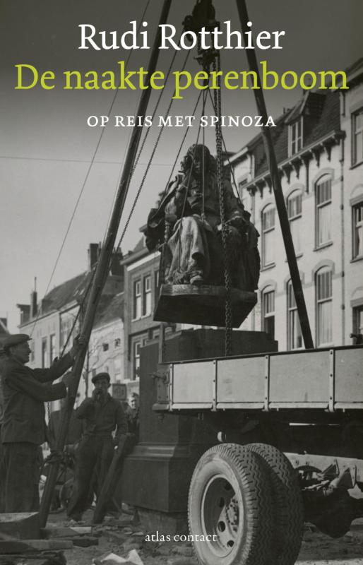 Omslag van De naakte perenboom