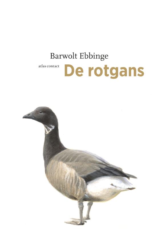 Omslag van De rotgans