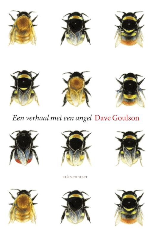 Omslag van Een verhaal met een angel