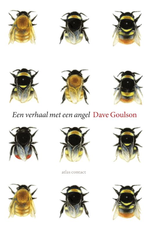 Omslag van Een verhaal met een angel
