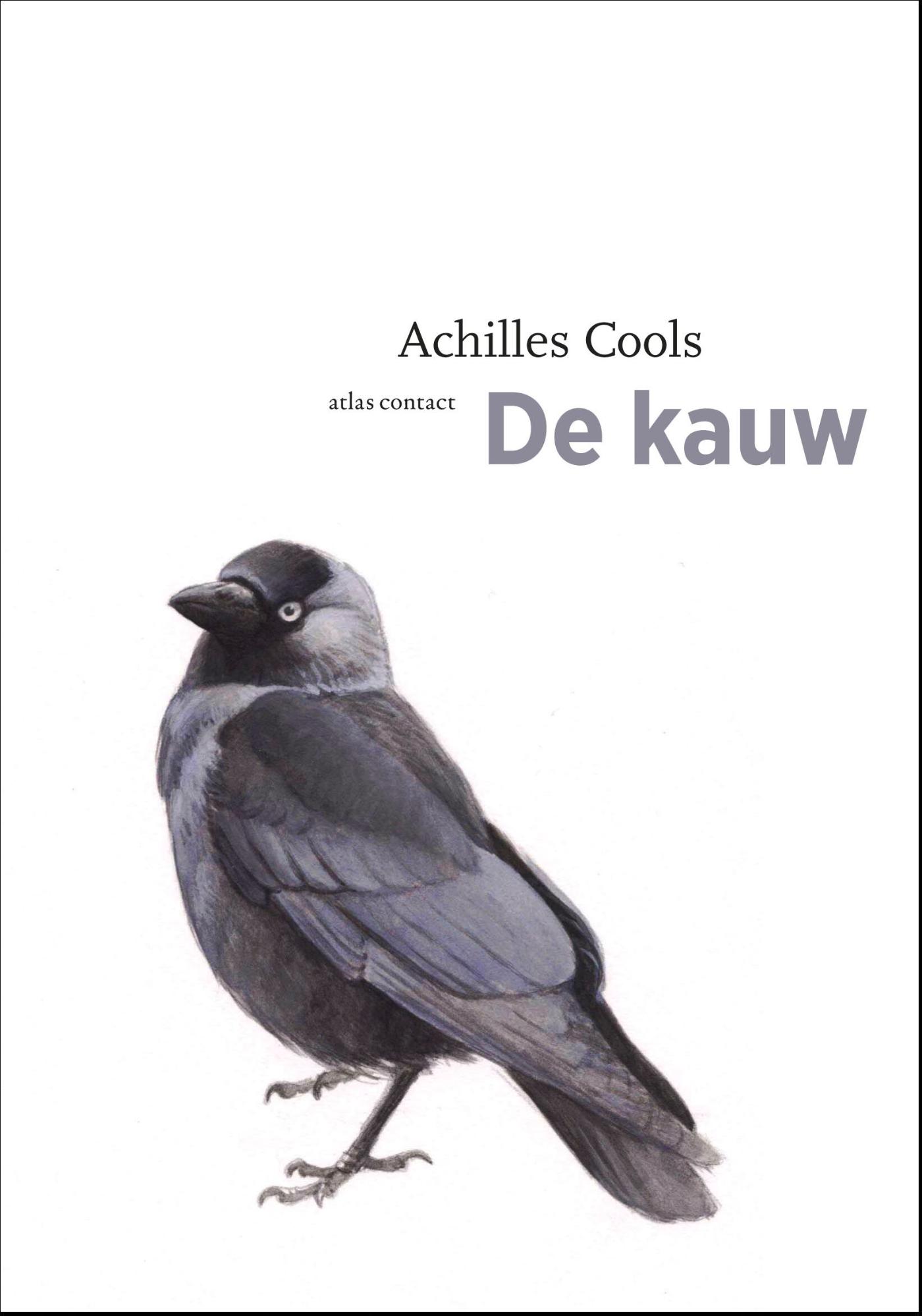 Omslag van De kauw