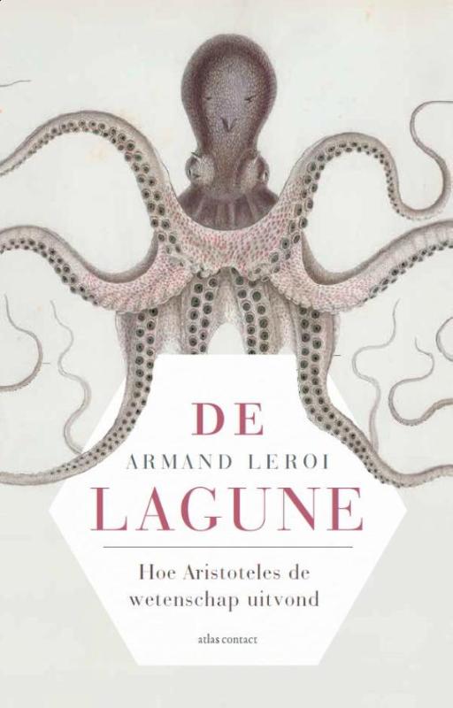 Omslag van De lagune