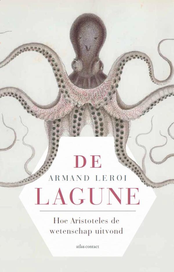 Omslag van De lagune