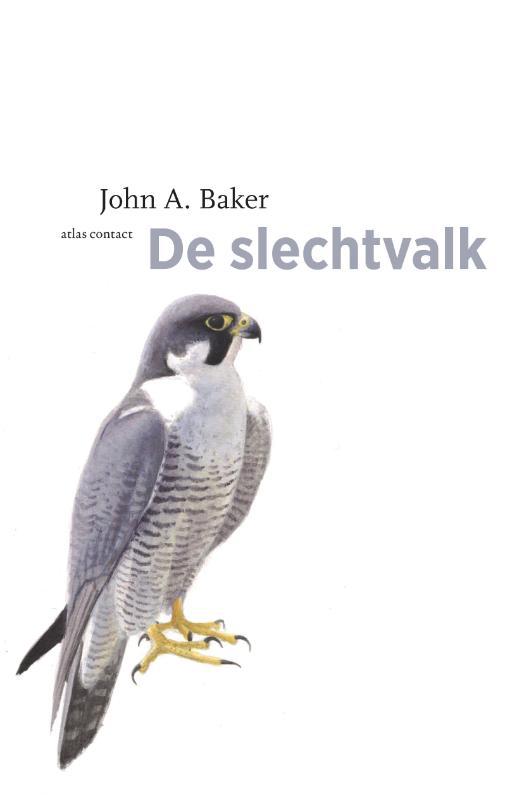 Omslag van De slechtvalk