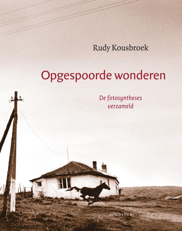 Omslag van Opgespoorde wonderen