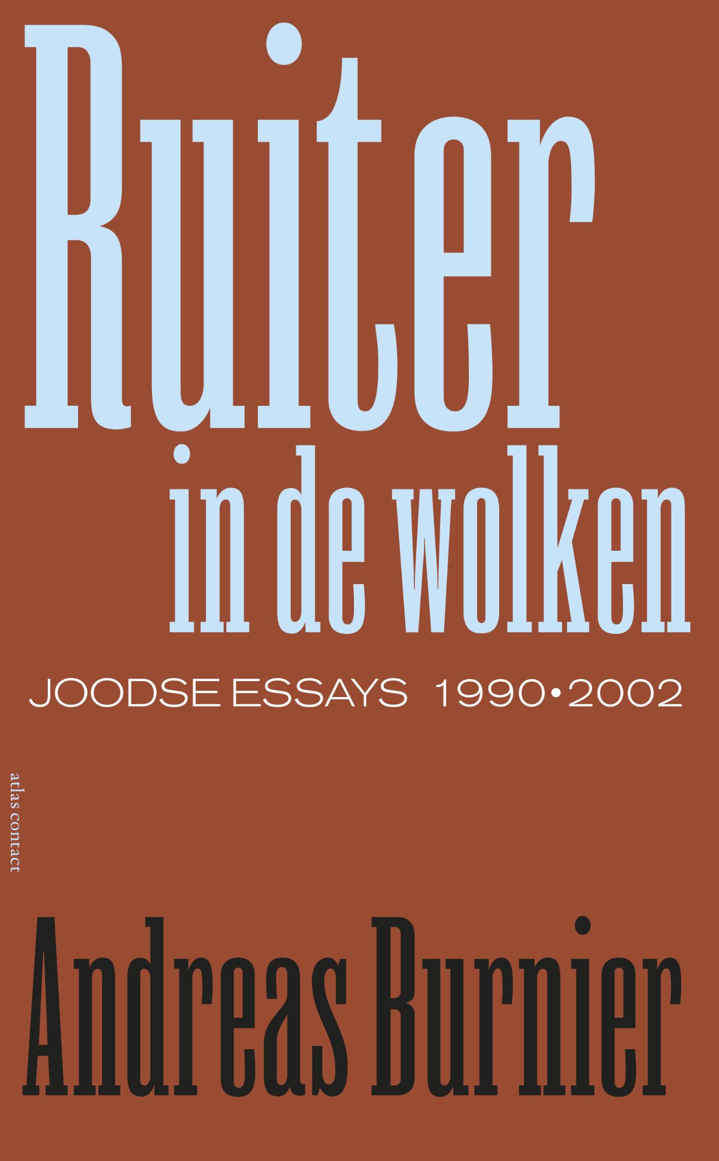 Omslag van Ruiter in de wolken