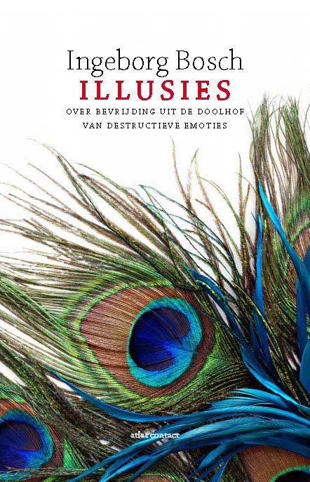 Omslag van Illusies