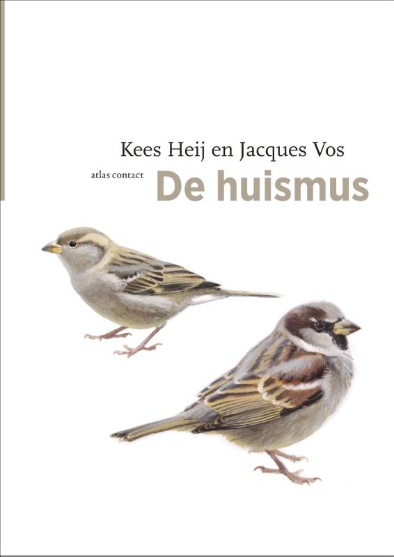 Omslag van De huismus