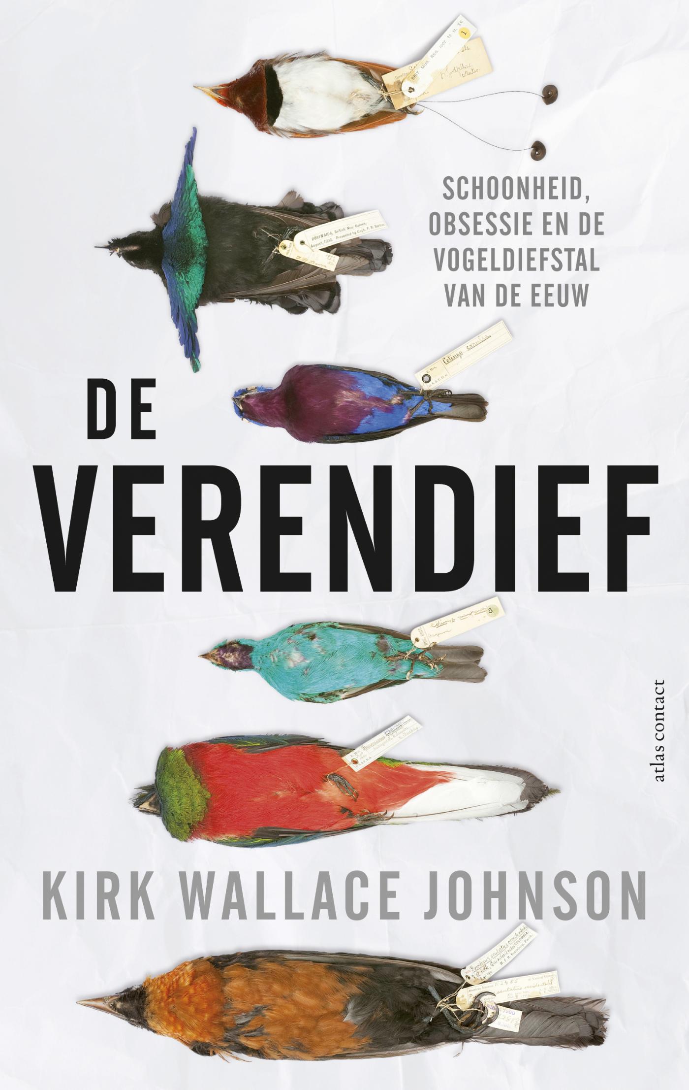 Omslag van De verendief