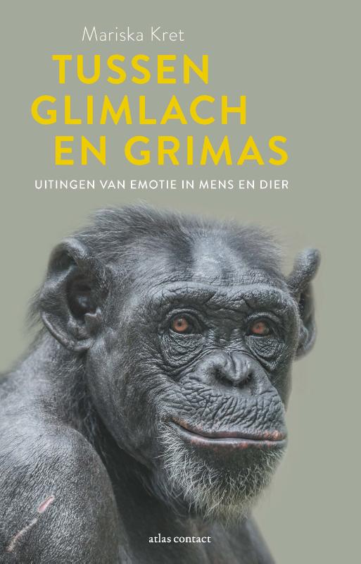 Omslag van Tussen glimlach en grimas