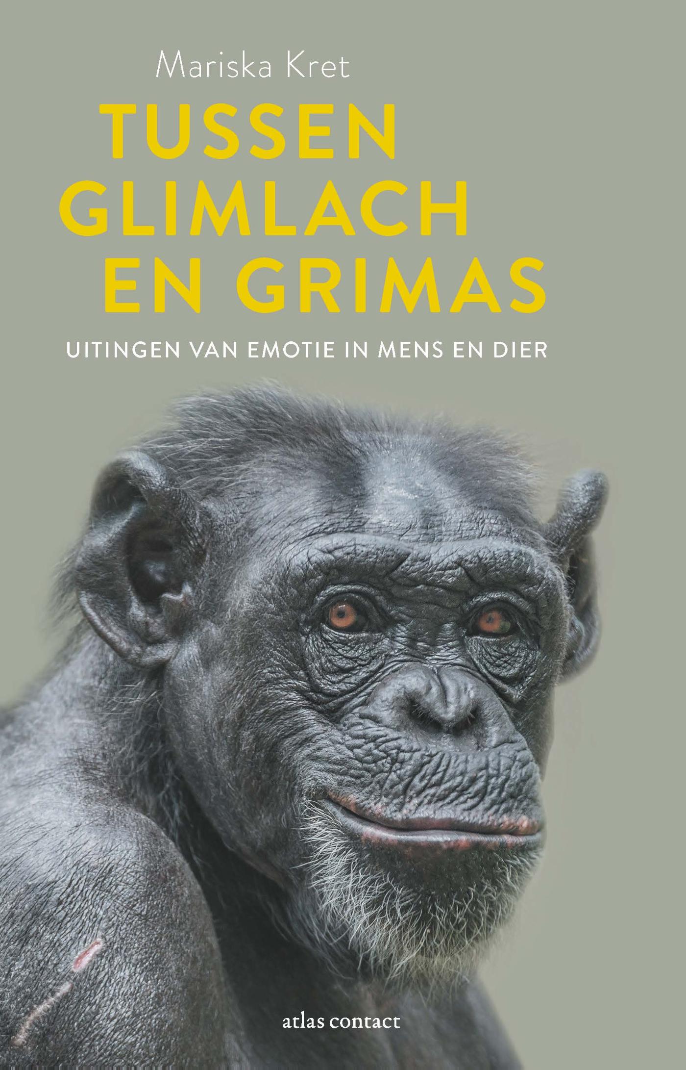 Omslag van Tussen glimlach en grimas