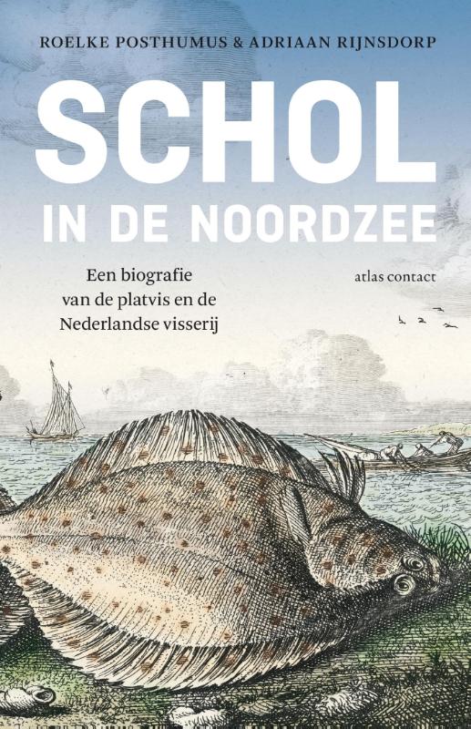 Omslag van Schol in de Noordzee