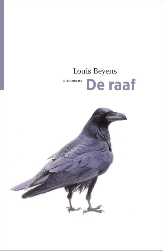 Omslag van De raaf