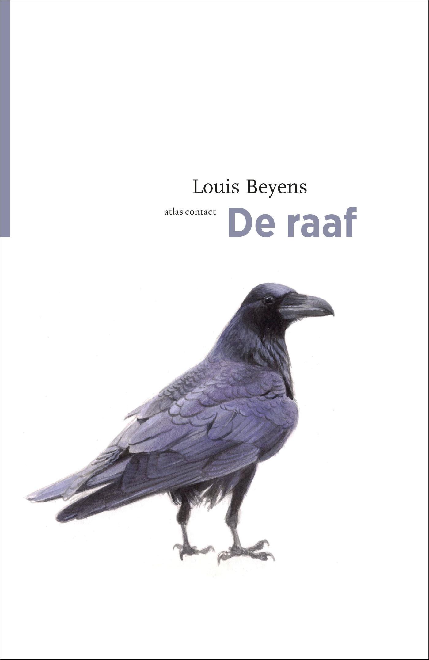 Omslag van De raaf
