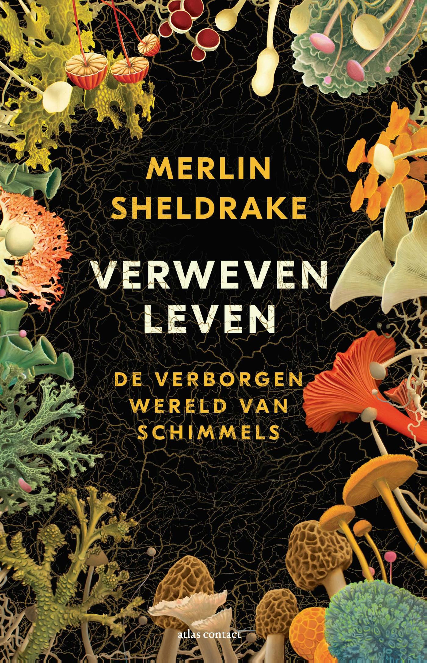 Omslag van Verweven leven