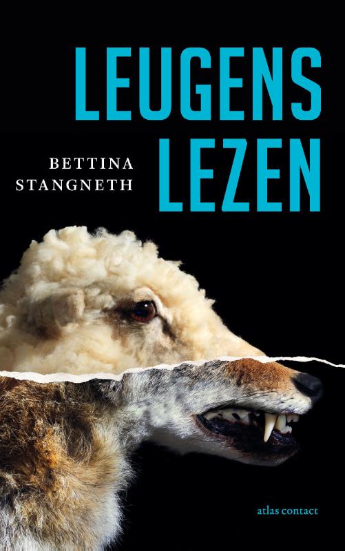 Omslag van Leugens lezen